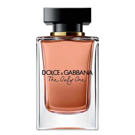 dolce and gabbana vs versace perfume